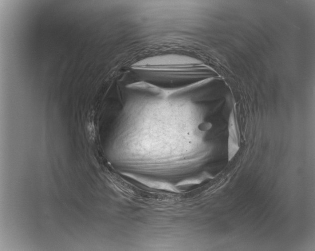 X0000070190771200606091532