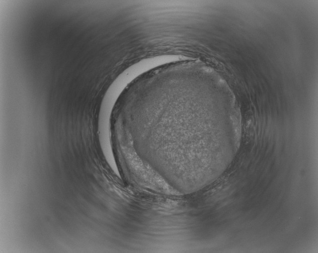 X0000070190772200606091531