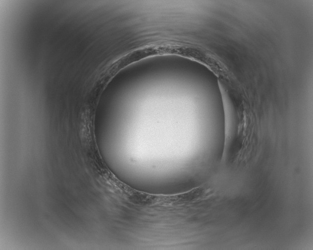 X0000070190773200606091531