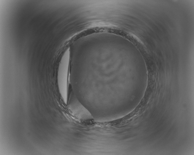 X0000070190775200606091531