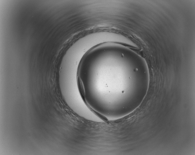 X0000070190776200606091531