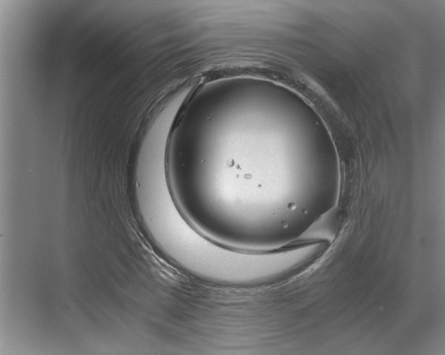 X0000070190777200606091531