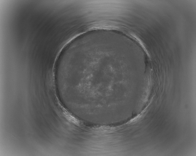 X0000070190779200606091531