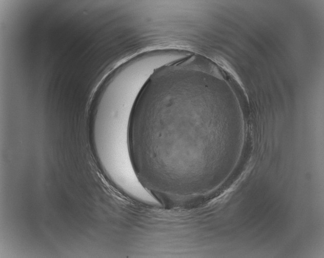 X0000070190781200606091531