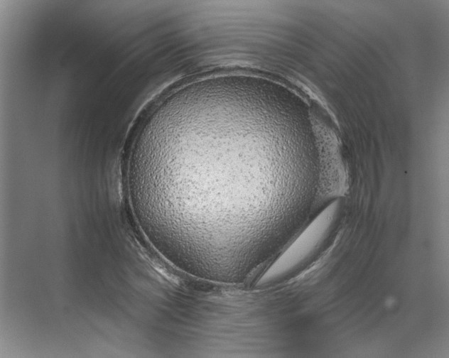 X0000070190782200606091531