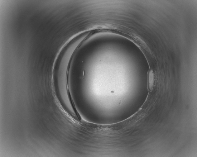 X0000070190784200606091531