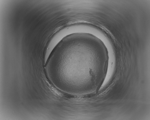 X0000070190785200606091531