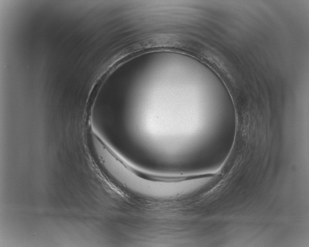 X0000070190786200606091531