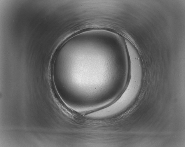 X0000070190787200606091531