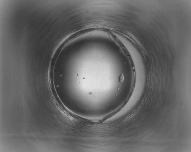 X0000070190788200606091531