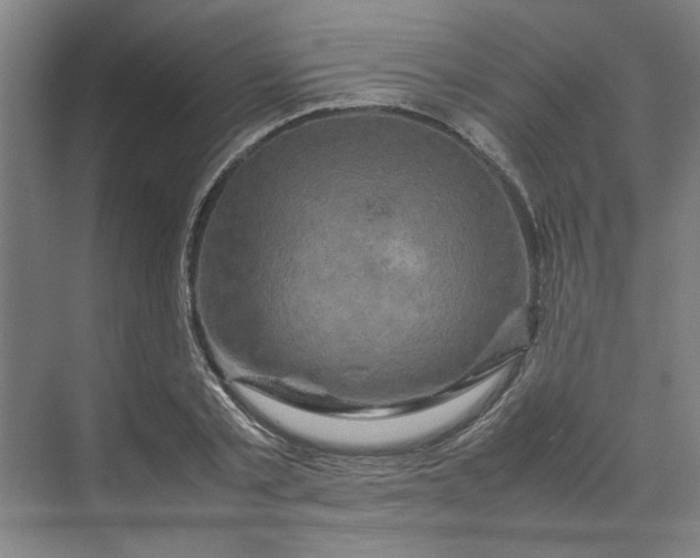 X0000070190789200606091531