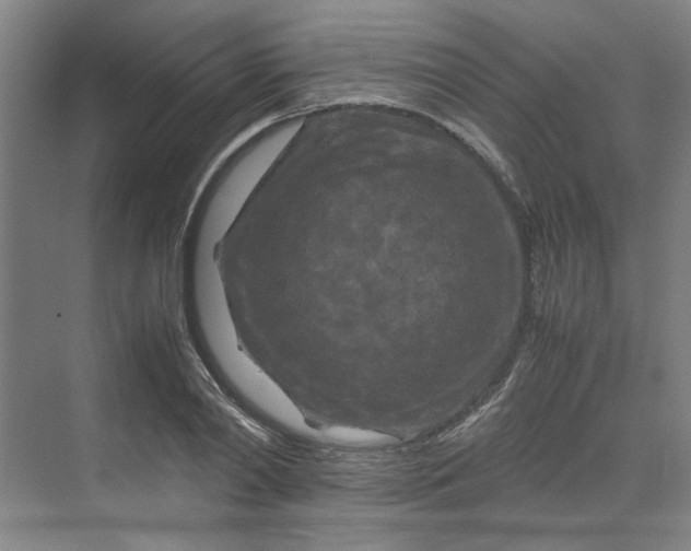 X0000070190790200606091531