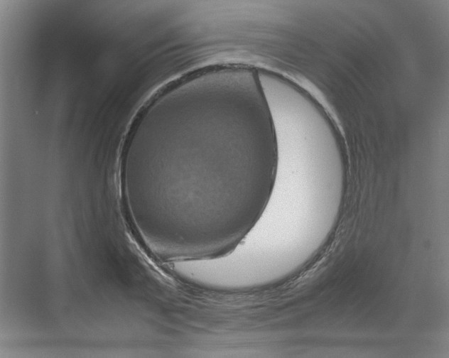 X0000070190791200606091531