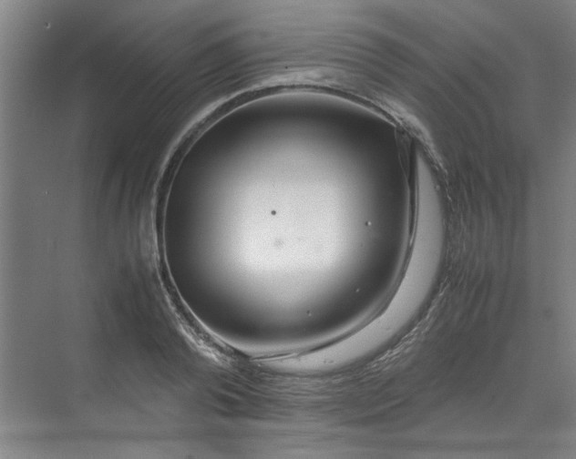 X0000070190792200606091531