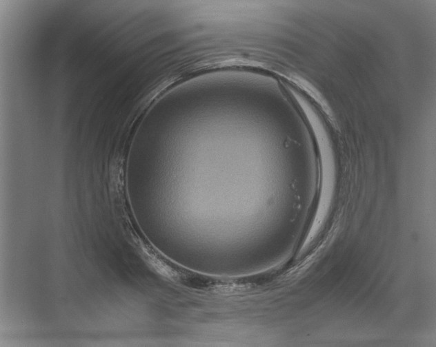 X0000070190793200606091531