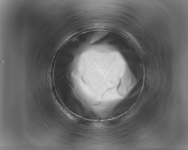 X0000070190794200606091531