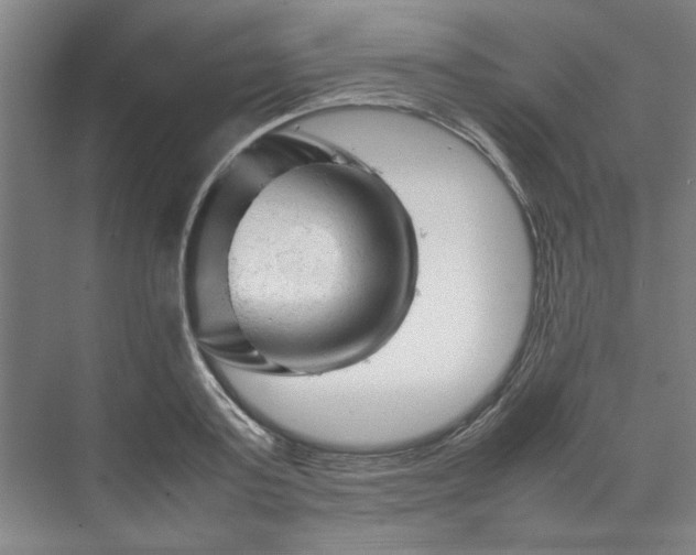 X0000070190795200606091531