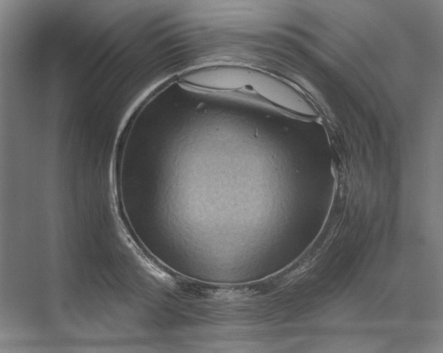 X0000070190796200606091531