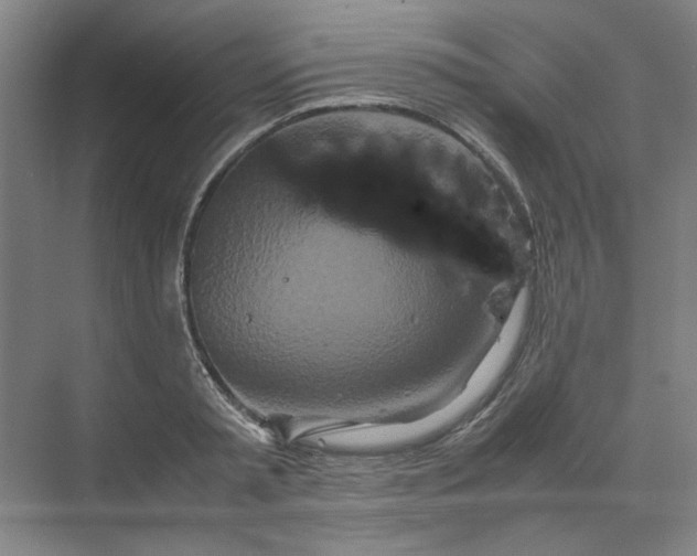 X0000070190797200606091531