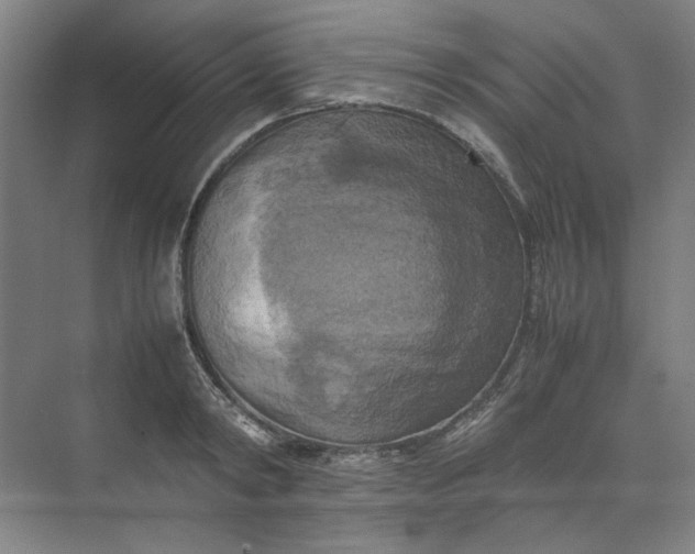 X0000070190798200606091531