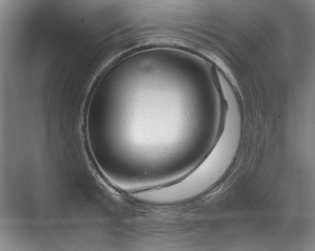 X0000070190799200606091531