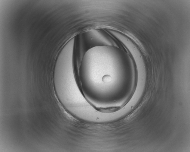 X0000070190801200606091531