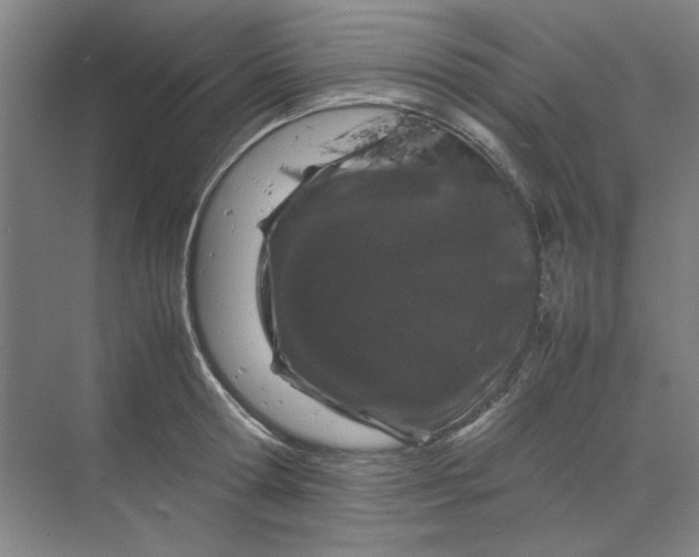 X0000070190802200606091531