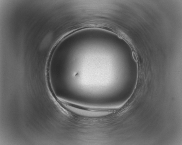 X0000070190803200606091531