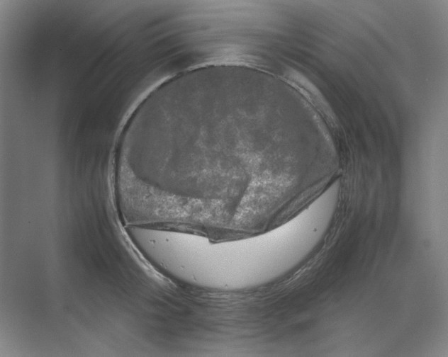 X0000070190804200606091531