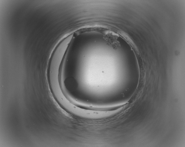 X0000070190805200606091531