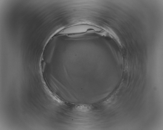 X0000070190806200606091531