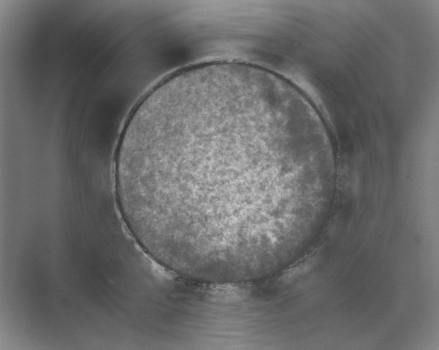 X0000070190807200606091531