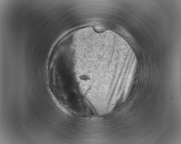 X0000070190808200606091531