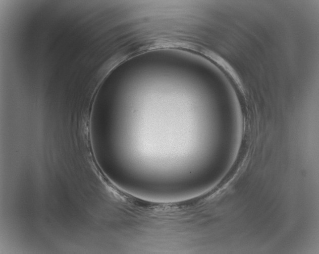 X0000070190809200606091531