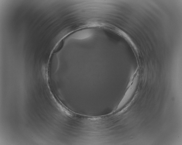 X0000070190810200606091531