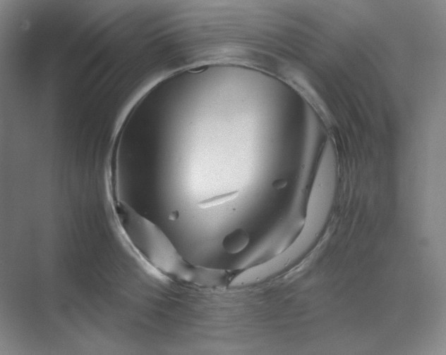 X0000070190812200606091531