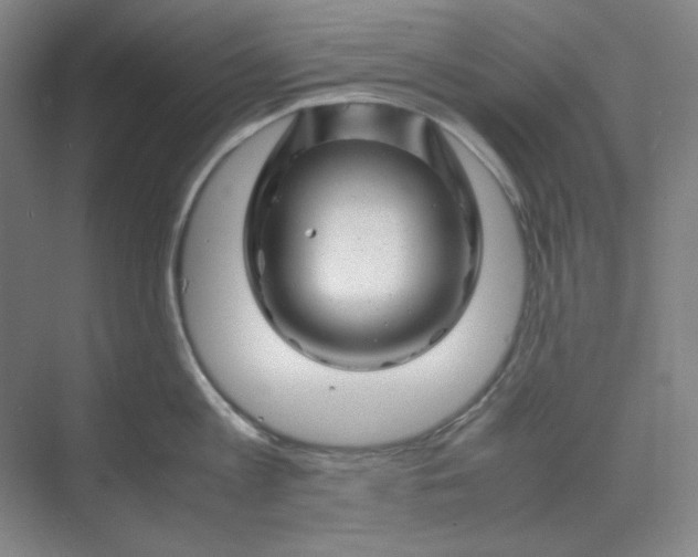 X0000070190813200606091531