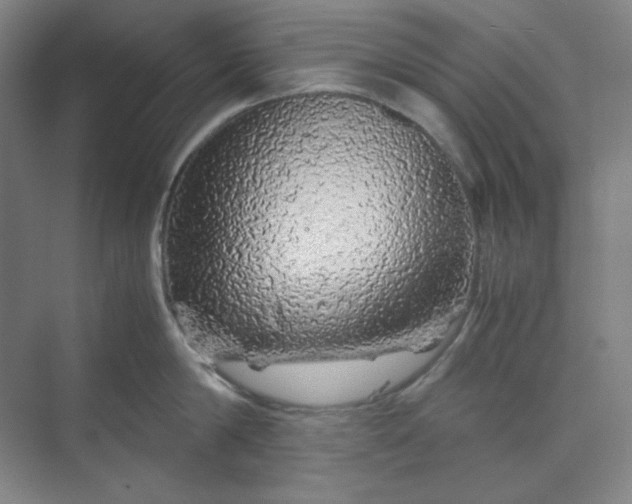 X0000070190814200606091531