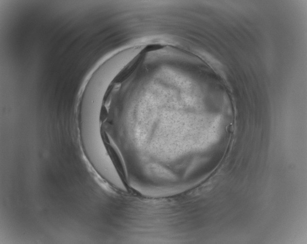 X0000070190816200606091531