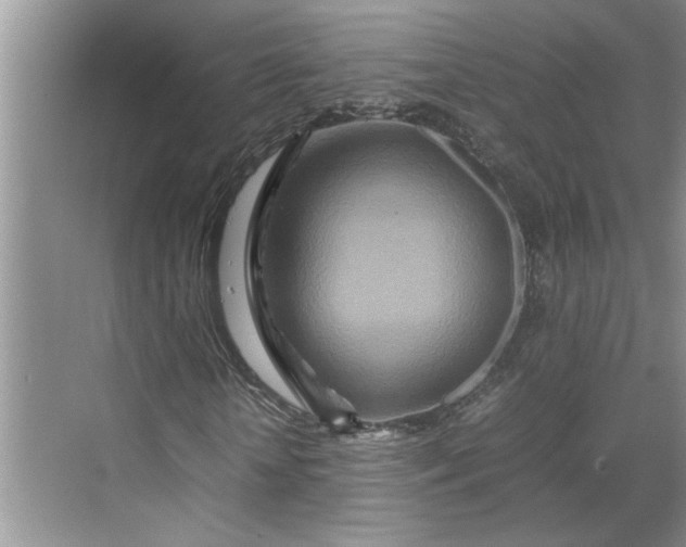 X0000070190818200606091530