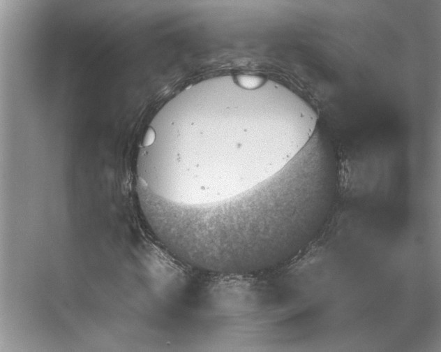 X0000070190820200606091530