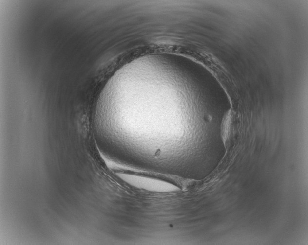 X0000070190821200606091530