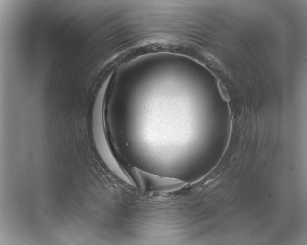 X0000070190822200606091530