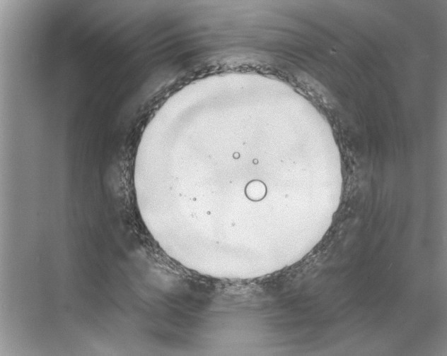 X0000070190824200606091530