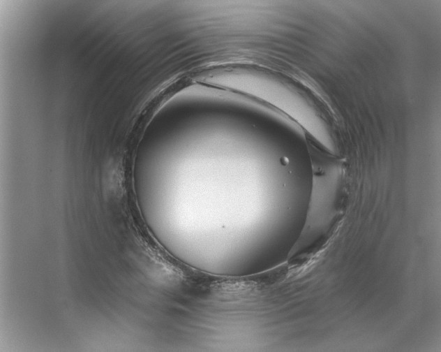 X0000070190826200606091530