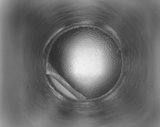 X0000070190827200606091530