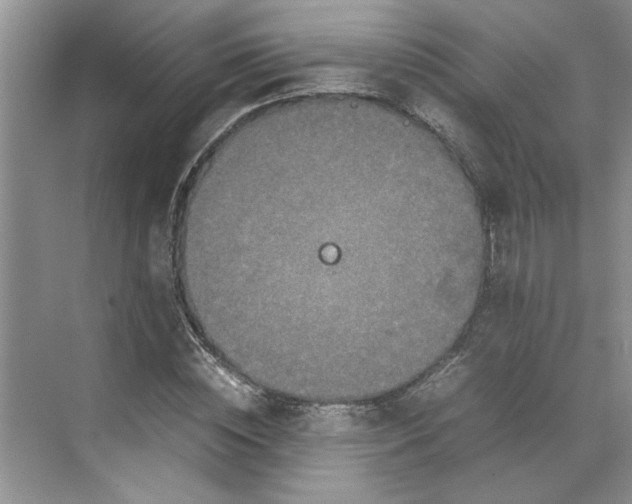 X0000070190828200606091530