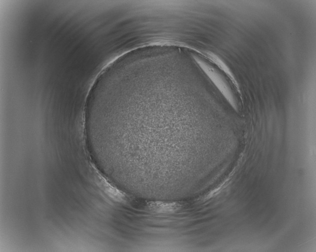 X0000070190831200606091530