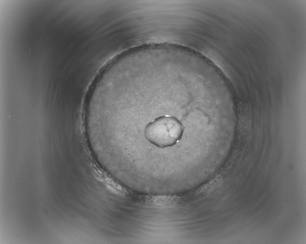 X0000070190832200606091530