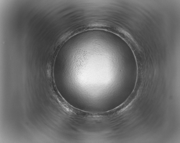 X0000070190833200606091530